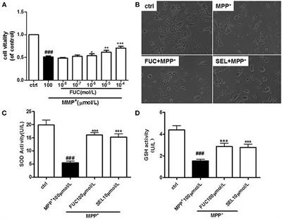 The Effect of Fucoidan on Cellular Oxidative Stress and the CatD-Bax Signaling Axis in MN9D Cells Damaged by 1-Methyl-4-Phenypyridinium